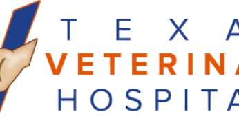 Top 5 Emergency Vet In Fort Worth, Texas