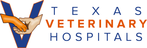 Top 5 Emergency Vet In Fort Worth, Texas