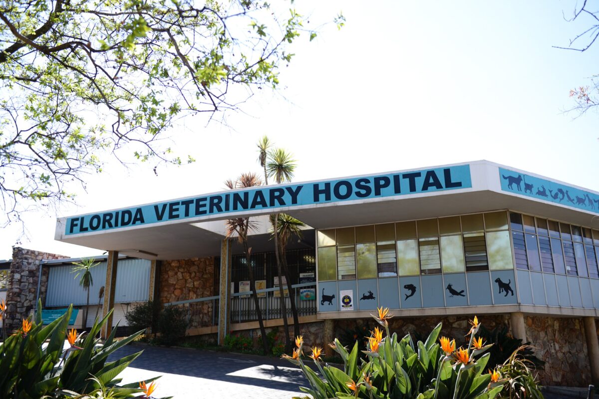 Top 5 Emergency Vet In Jacksonville, Florida